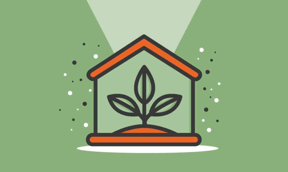 Your Guide to Starting a Greenhouse Business