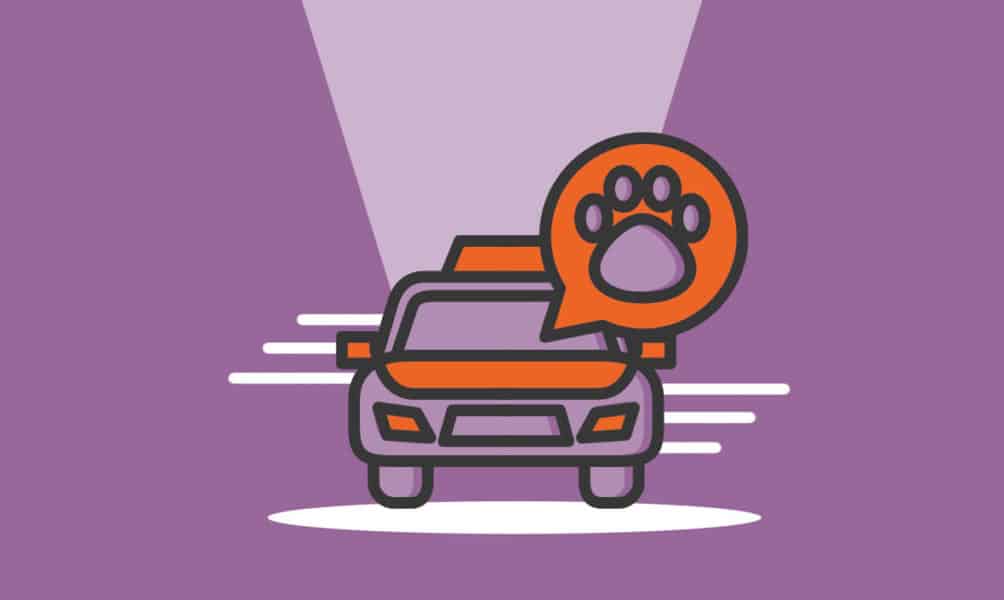 How to Start a Pet Taxi Business in 13 Steps