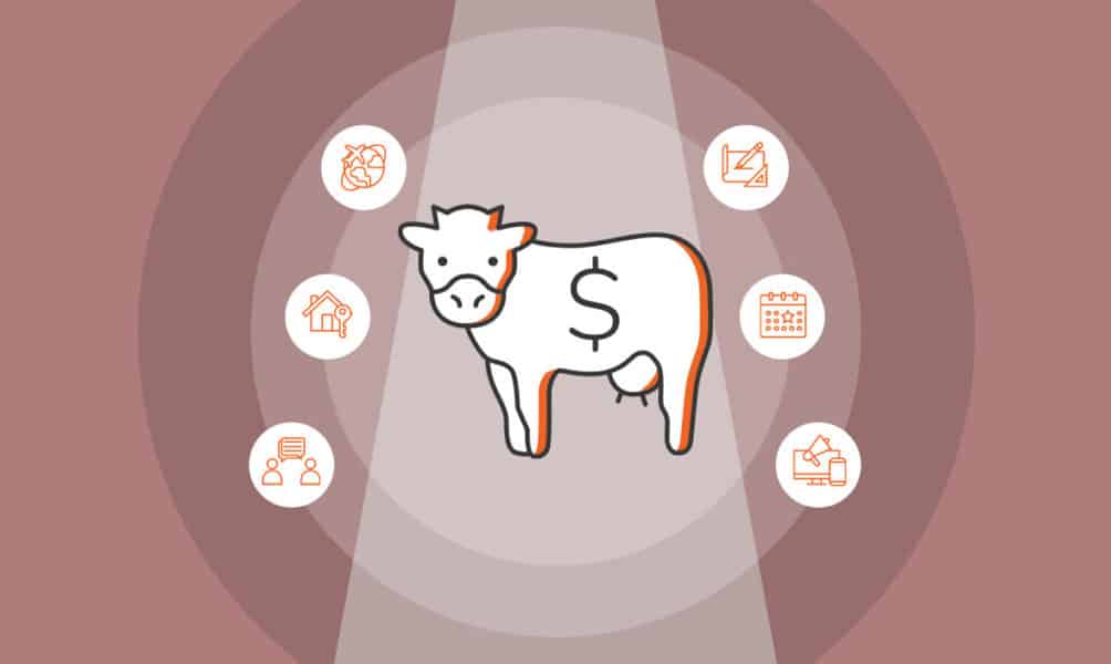 12 Cash Cow Business Ideas to Maximize Your Profits