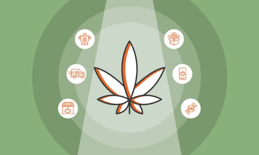 14 Business Opportunities in the Cannabis Industry