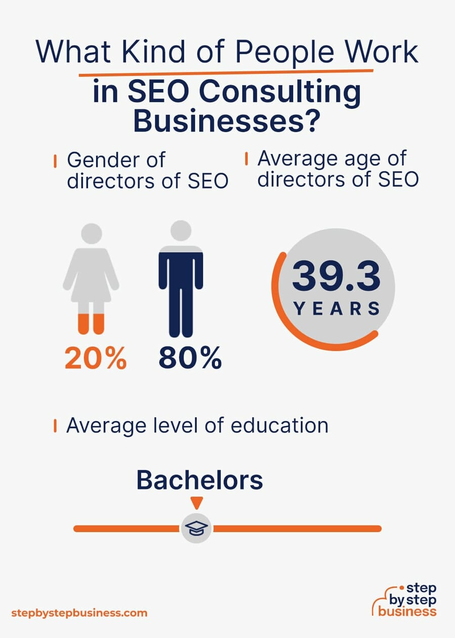 SEO Consulting industry demographics